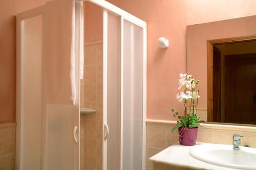 a bathroom with a shower and a sink and a mirror at Villas Las Golondrinas in Cala en Bosc