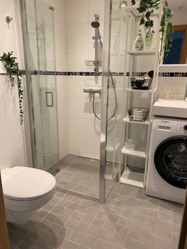 a bathroom with a shower toilet and a washing machine at AA Apartment in Ventspils