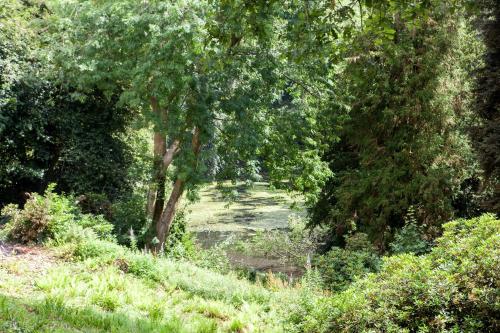 a path through a forest with trees and grass at Langrish House in Petersfield