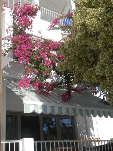 a white house with pink flowers on the side of it at Glaros Hotel Apartment in Agia Galini