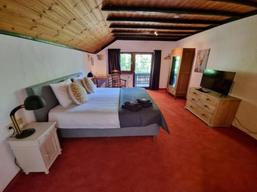 um quarto com uma cama e uma televisão em B&B Am Sahrbach em Altenahr