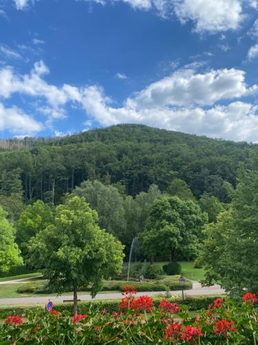 a view of a mountain with trees and flowers at Apartment am Park in Bad Lauterberg