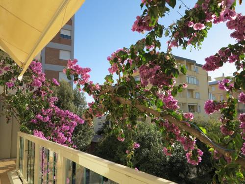 a balcony with pink flowers on a building at Casamare Hotel in San Vincenzo