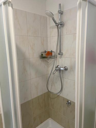 a shower with a shower head in a bathroom at Apartments Joka 487 in Rovinj