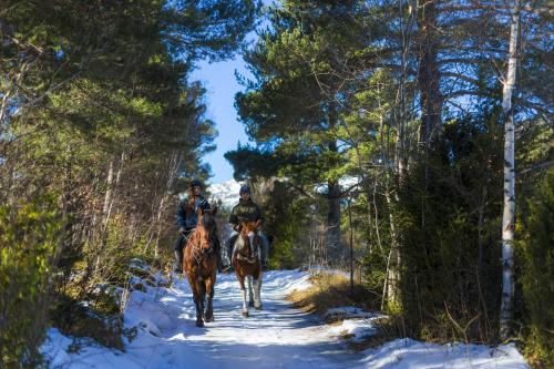 two people riding horses down a snow covered trail at Apartaments Giberga in LʼAldosa