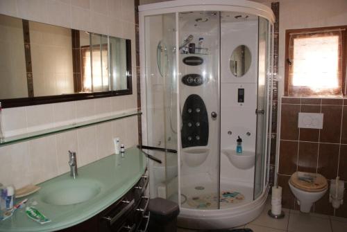 a bathroom with a shower and a sink and a toilet at Les Coquelicots in Pompéjac