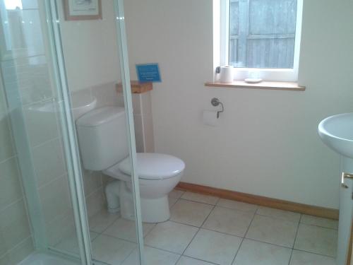 a bathroom with a toilet and a glass shower at Ornum House in Beauly