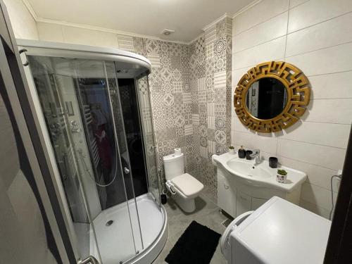 a bathroom with a shower and a toilet and a sink at Apartament ELLA in Tulcea