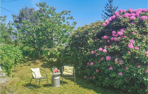Taman di luar Lovely Home In Fjelberg With Wifi