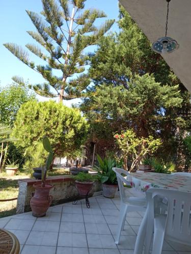 Villa Gelsomino – Photos 2