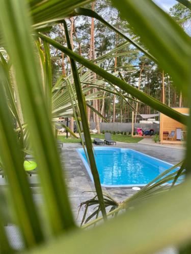 a view of a swimming pool through a plant at Seaside Harmony in Pogorzelica