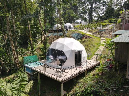 an aerial view of a tent in a garden at HOTEL, VILLAS y GLAMPINGS MYA -PUERTO VIEJO, Limon, CR in Puerto Viejo