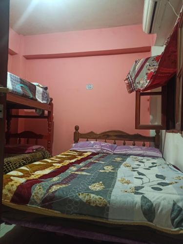 uma cama num quarto com paredes cor-de-rosa em Hospedaje El Turista. em Libertador General San Martín