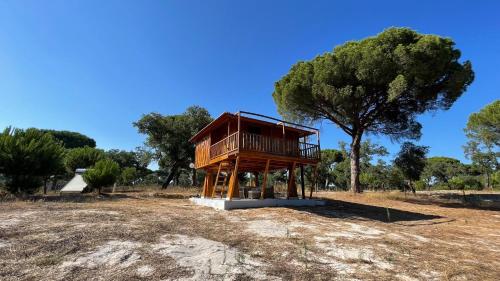 a tree house sitting on top of a field at Suspended Wooden House - Monte da Cortiça in Águas de Moura