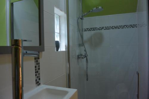 W łazience znajduje się prysznic i umywalka. w obiekcie Appart´choisille w mieście La Membrolle-sur-Choisille
