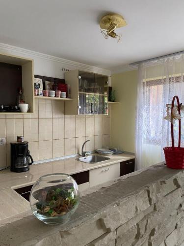 a kitchen with a bowl of fish on a counter at Casa Viki 