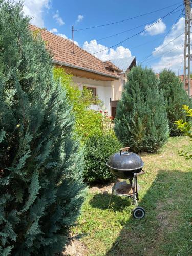 a grill in a yard next to some christmas trees at Casa Viki 