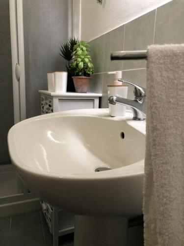 un lavandino bianco in bagno con una pianta di Casa Domitilla Vista Mare - Spiagge, Storia & Relax Wifi - Netflix a Terracina