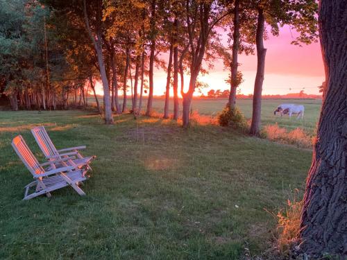 two chairs sitting in a field with a cow in the background at B&B De Mersken in Ureterp