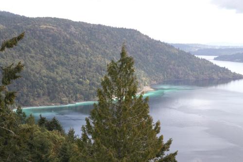 a view of a lake with a tree in the foreground at Moon Water Lodge in Malahat