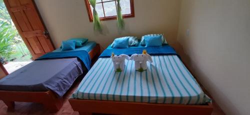 two twin beds in a room with blue sheets at Garden of Heliconias Lodge in Drake
