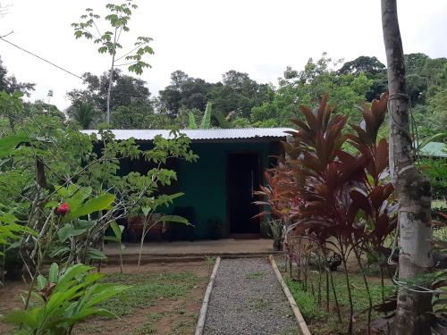 a house in the jungle with a green building at Garden of Heliconias Lodge in Drake