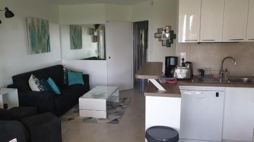 Garden and beach sea view apartment Cannes photo 40