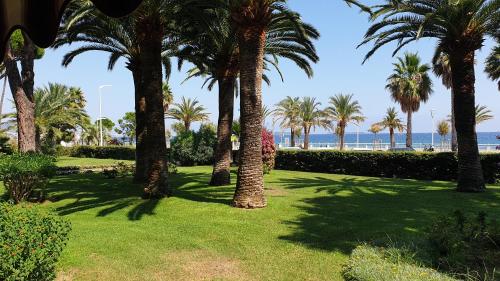 Garden and beach sea view apartment Cannes photo 45