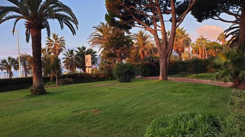 Garden and beach sea view apartment Cannes photo 43