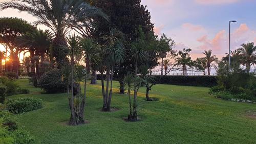 Garden and beach sea view apartment Cannes photo 44