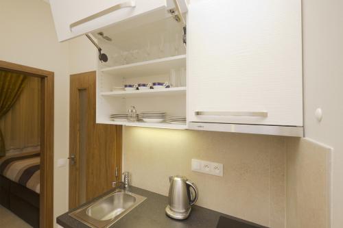 a kitchen with a sink and a counter top at Apartment Karla Capka Street in Karlovy Vary