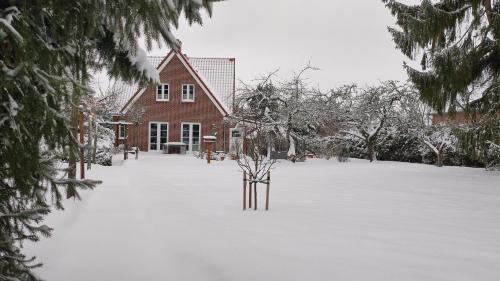 Minna von Fintel en invierno