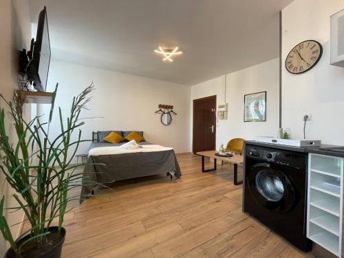 Habitación con cama y lavadora. en LES PIEDS DANS L’EAU - MORET CENTRE, en Moret-sur-Loing