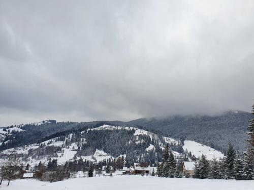 a snow covered mountain with trees and clouds in the sky at Khatky Na Penkakh in Vorokhta