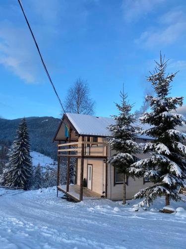 a small house in the snow next to a tree at Khatky Na Penkakh in Vorokhta