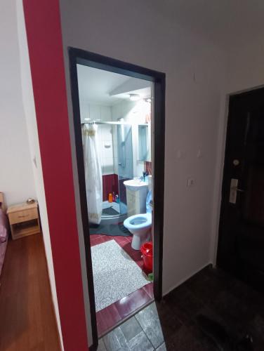 a bathroom with a toilet and a red wall at Alexia house in Deva