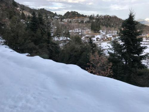 a snow covered hill with trees in the background at Το σπιτάκι του Σπύρου in Oinokhórion