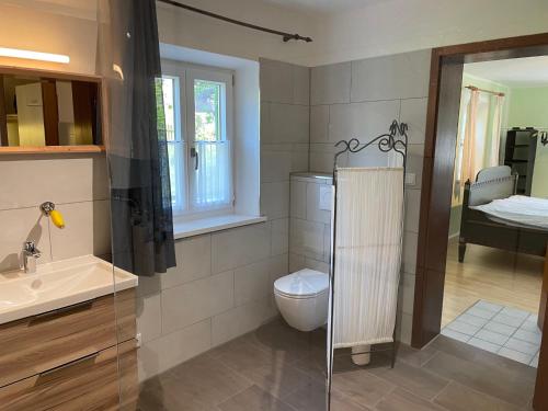 a bathroom with a toilet and a sink at Ferienwohnung Wagnerhaus in Bad Reichenhall