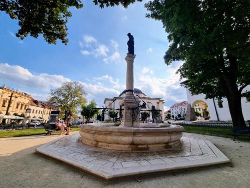 a fountain with a statue in the middle of a park at Apartment in a historical house in the center of Levoča in Levoča