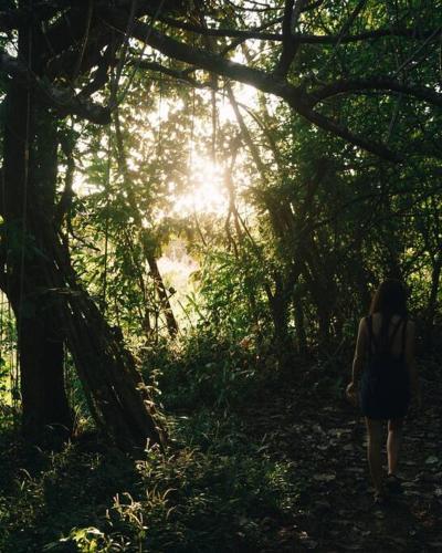 a woman walking down a trail in the woods at Casa Melina Torio Cozy upscale 2bd jungle House in Torio