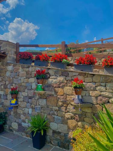 a stone wall with potted plants on it at Apartamentos La Ventana de Mogrovejo in Mogrovejo