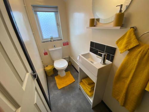 a small bathroom with a toilet and a sink at Robyns Nest, self catering cottage in Welshpool