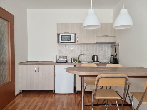 Kuchyň nebo kuchyňský kout v ubytování Panorama View Apartment