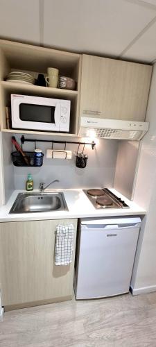 a small kitchen with a sink and a microwave at STUDIO COSY - VUE MONTAGNE - CLIM - GARE in Lourdes