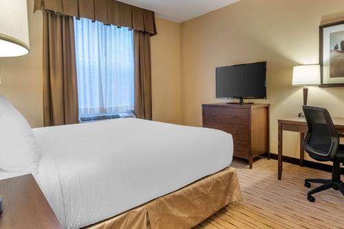 a hotel room with a bed and a desk and a television at Best Western Plus, Bathurst Hotel & Suites in Bathurst
