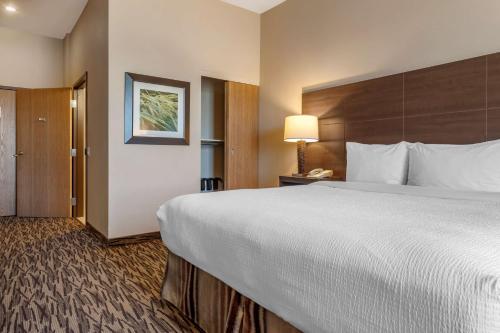 a hotel room with a large bed and a lamp at Best Western Plus Bridgewater Hotel & Convention Centre in Bridgewater