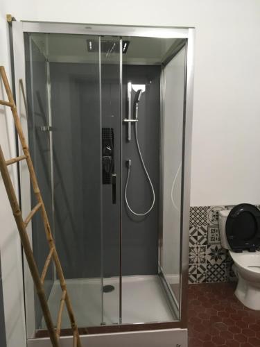 a glass shower in a bathroom with a toilet at Le mas Rocamour in Roquemaure
