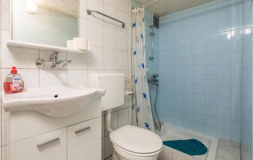 a bathroom with a toilet and a sink and a shower at Amazing Home In Jablanac With 2 Bedrooms And Outdoor Swimming Pool in Jablanac