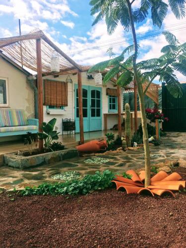 une maison avec un palmier en face dans l'établissement BEAUTIFUL VINTAGE BUNGALOW WIFI PARKING., à Las Galletas
