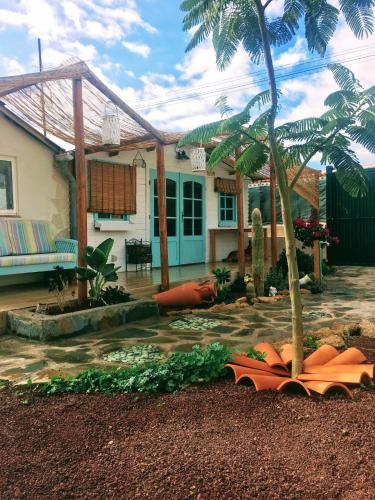 Zahrada ubytování Beautiful Bungalow en VV con wifi,netflix cerca del mar